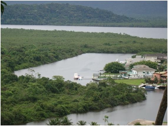 Fotografia 108: Condição do manguezal na região retratada.