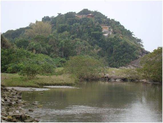 Fotografia 97: Aspectos da vegetação de transição do manguezal para a Mata Atlântica, tendo ao fundo construções em áreas com elevação.