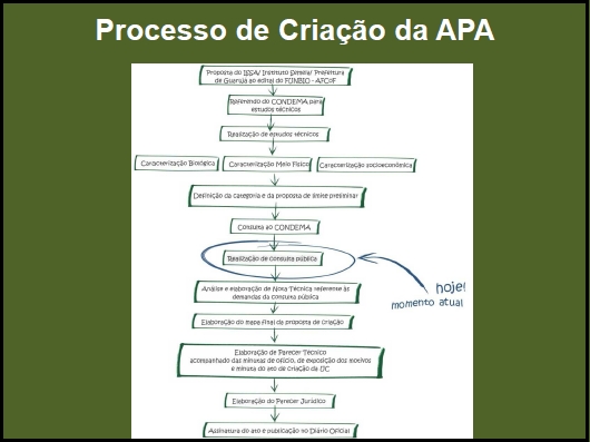 Processo de Criação da APA