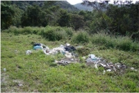 Fotografia 28: Deposição de grandes quantidades de lixo na Estrada-Parque e vista do maciço da Serra do Guararu ao fundo.