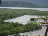 Fotografia 108: Condição do manguezal na região retratada.