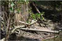 Fotografia 41: Vista lateral do Restaurante da Bica, onde podem ser verificados canos, aparentemente de esgoto, lançando diretamente no manguezal.