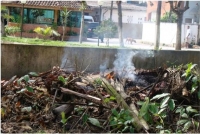 Fotografia 34: Idem à foto anterior, em detalhes do uso de fogo para incinerar material vegetal, com risco de propagação para a Serra do Guararu.