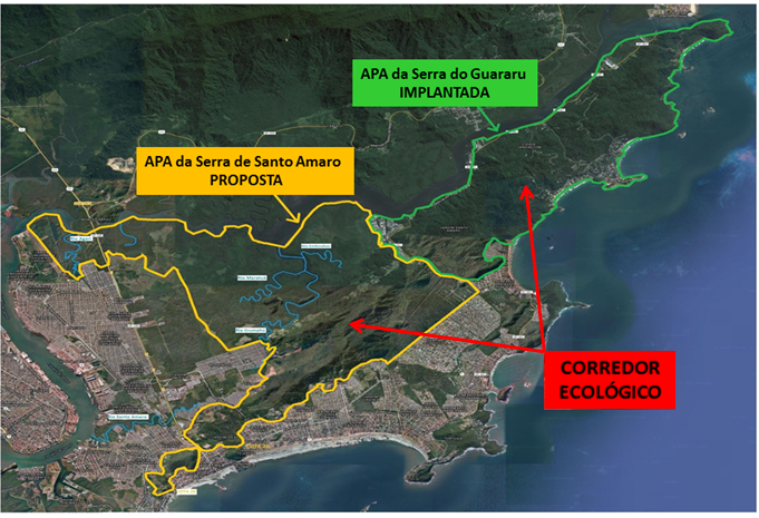 PROJETO CORREDOR ECOLOGICO PROJETO CORREDOR ECOLOGICO